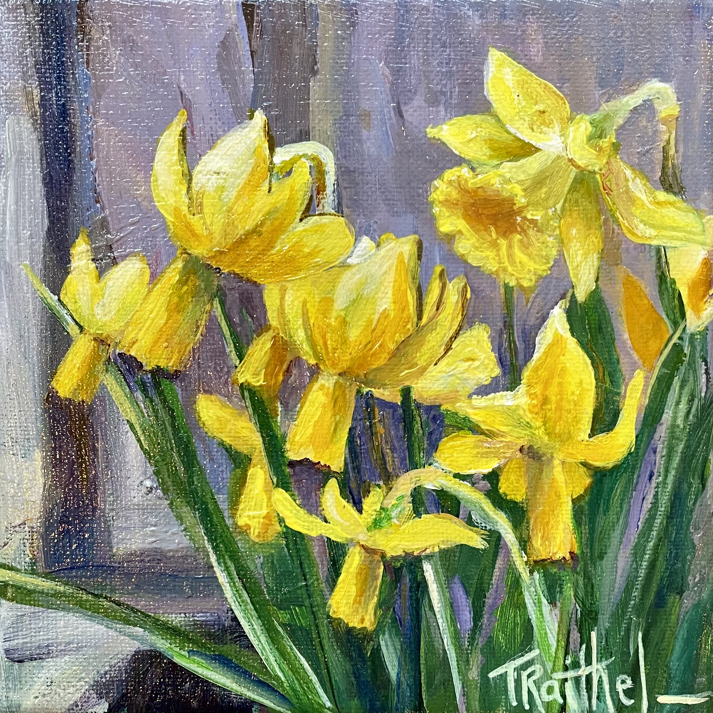 Corner Daffodils