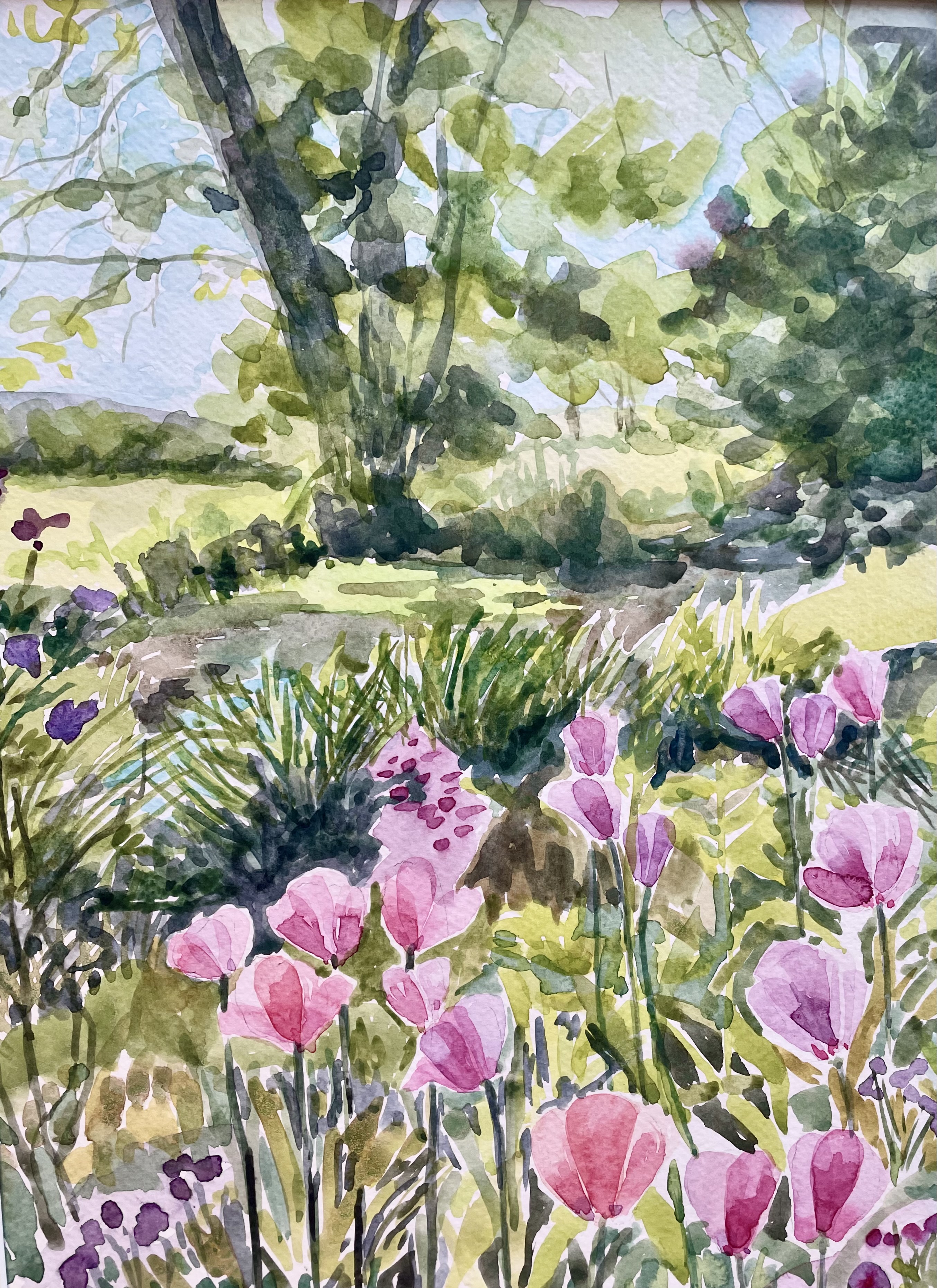 Spring Tulips in Giverny