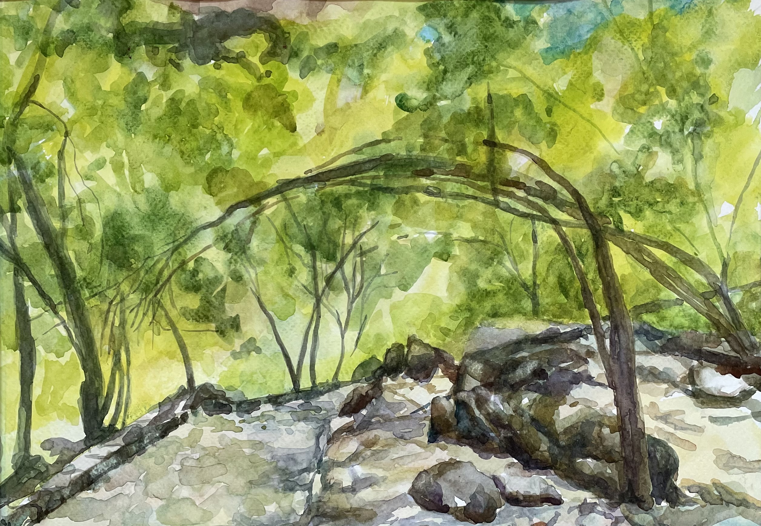 The Way Through the Woods