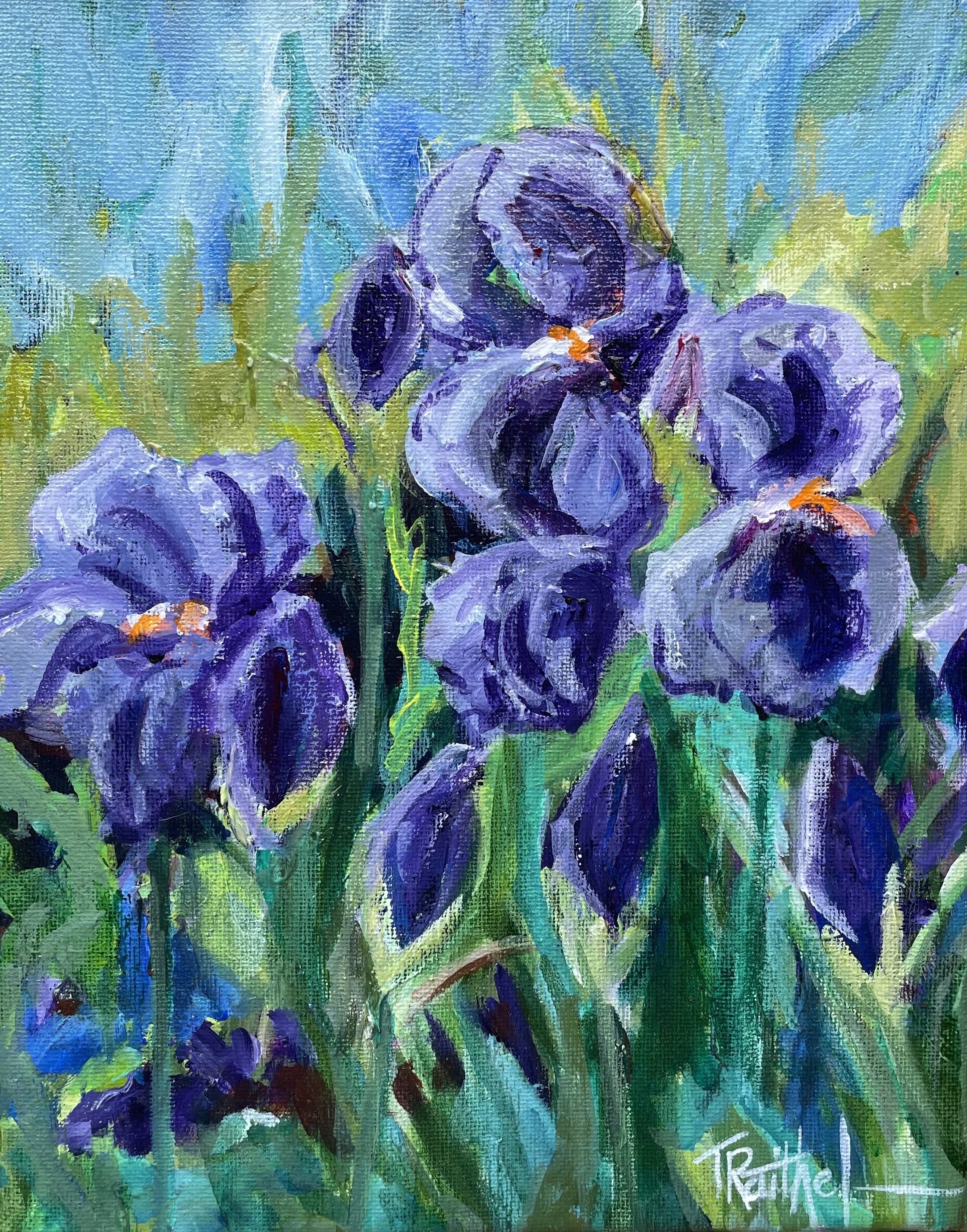 Irises 