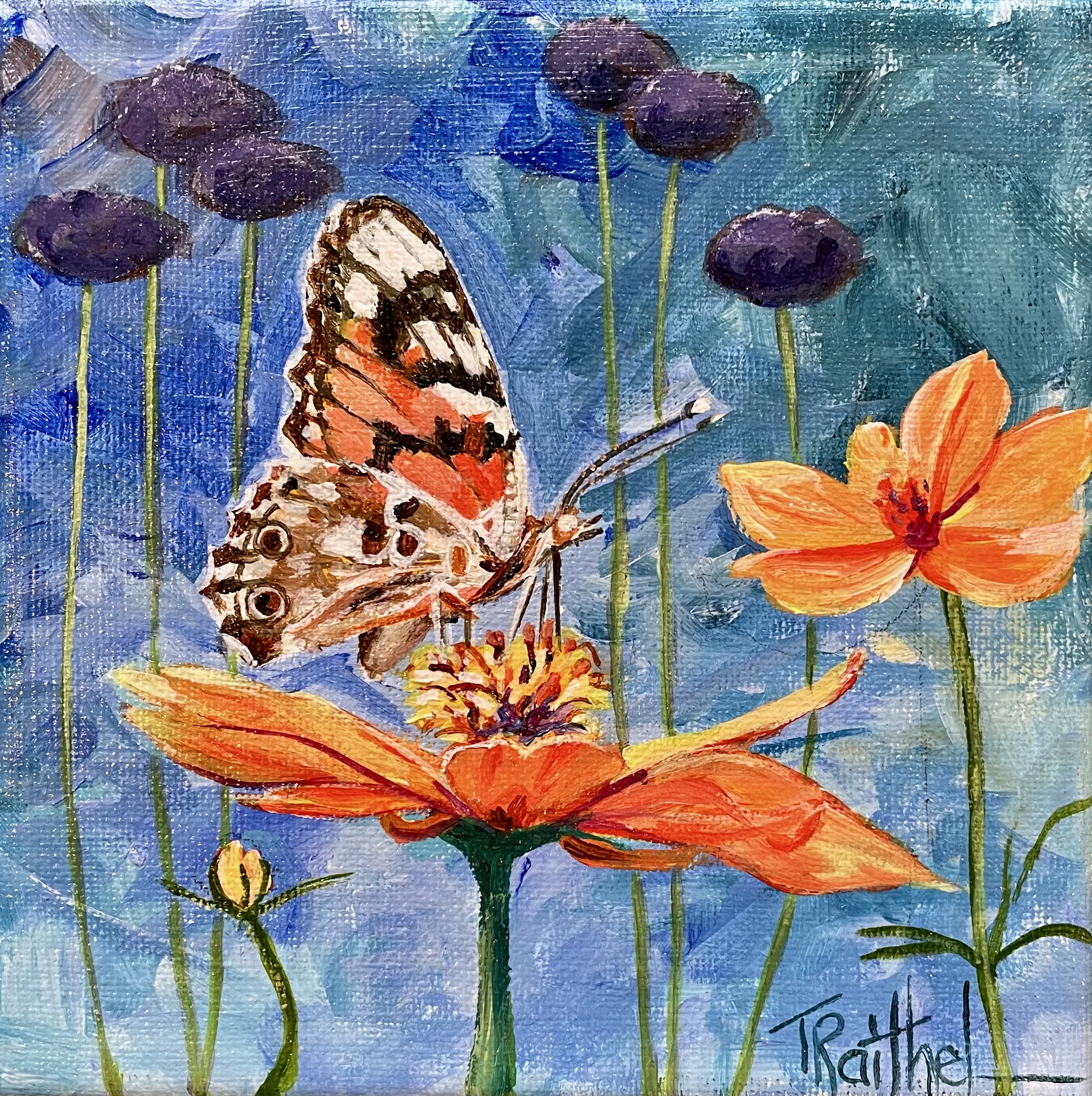 Cosmos and Butterfly