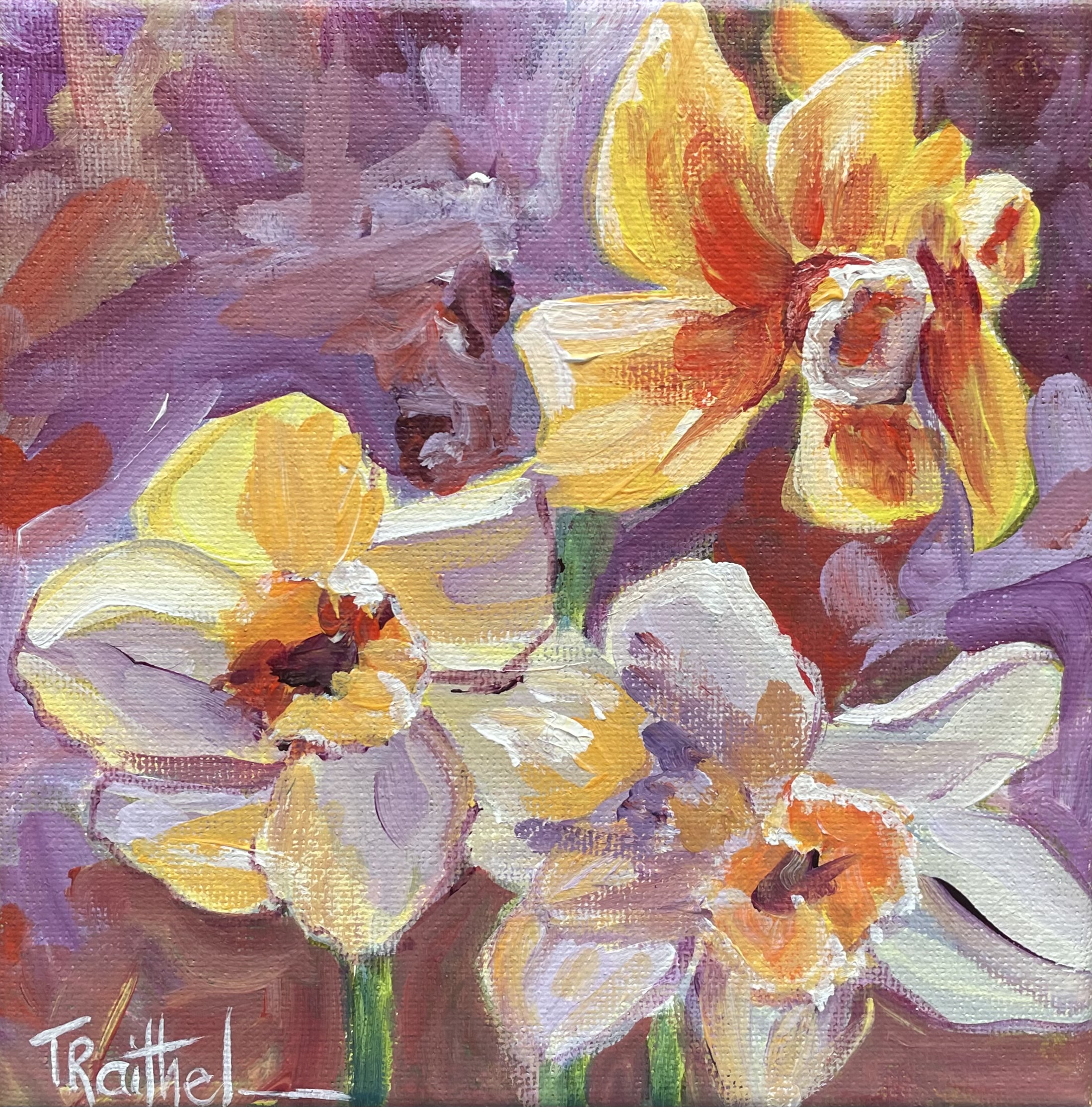 Red and Purple Daffodils